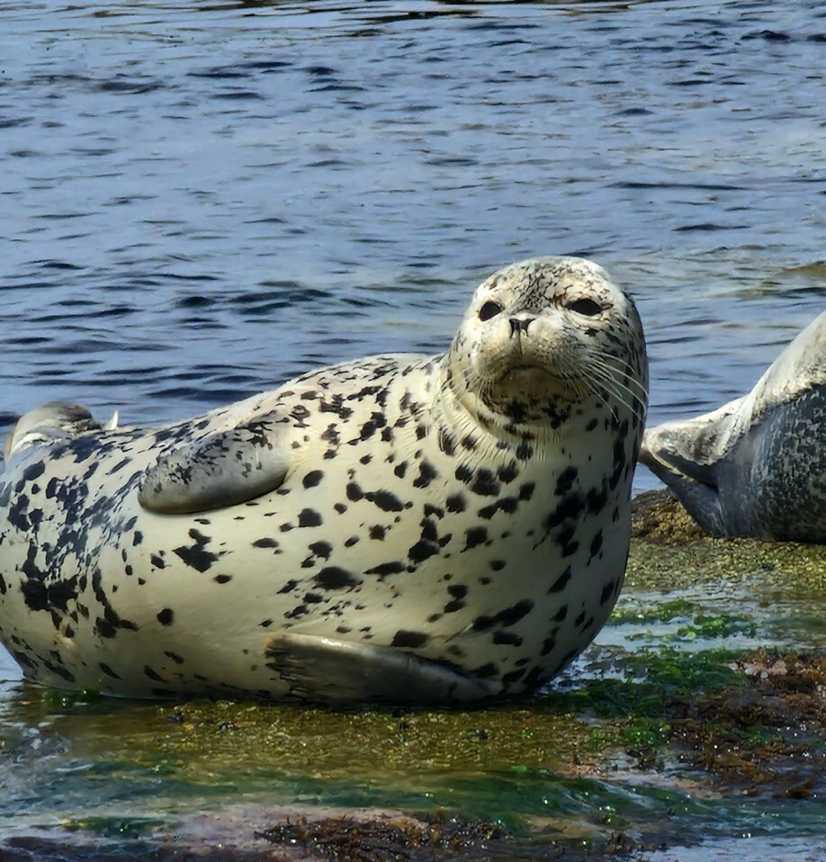 ВЛАДИВОСТОК